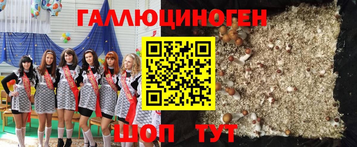 Галлюциногенные грибы Cubensis  Вход с VPN  Псилоцибиновые грибы GOLDEN TEACHER  Барабинск 
